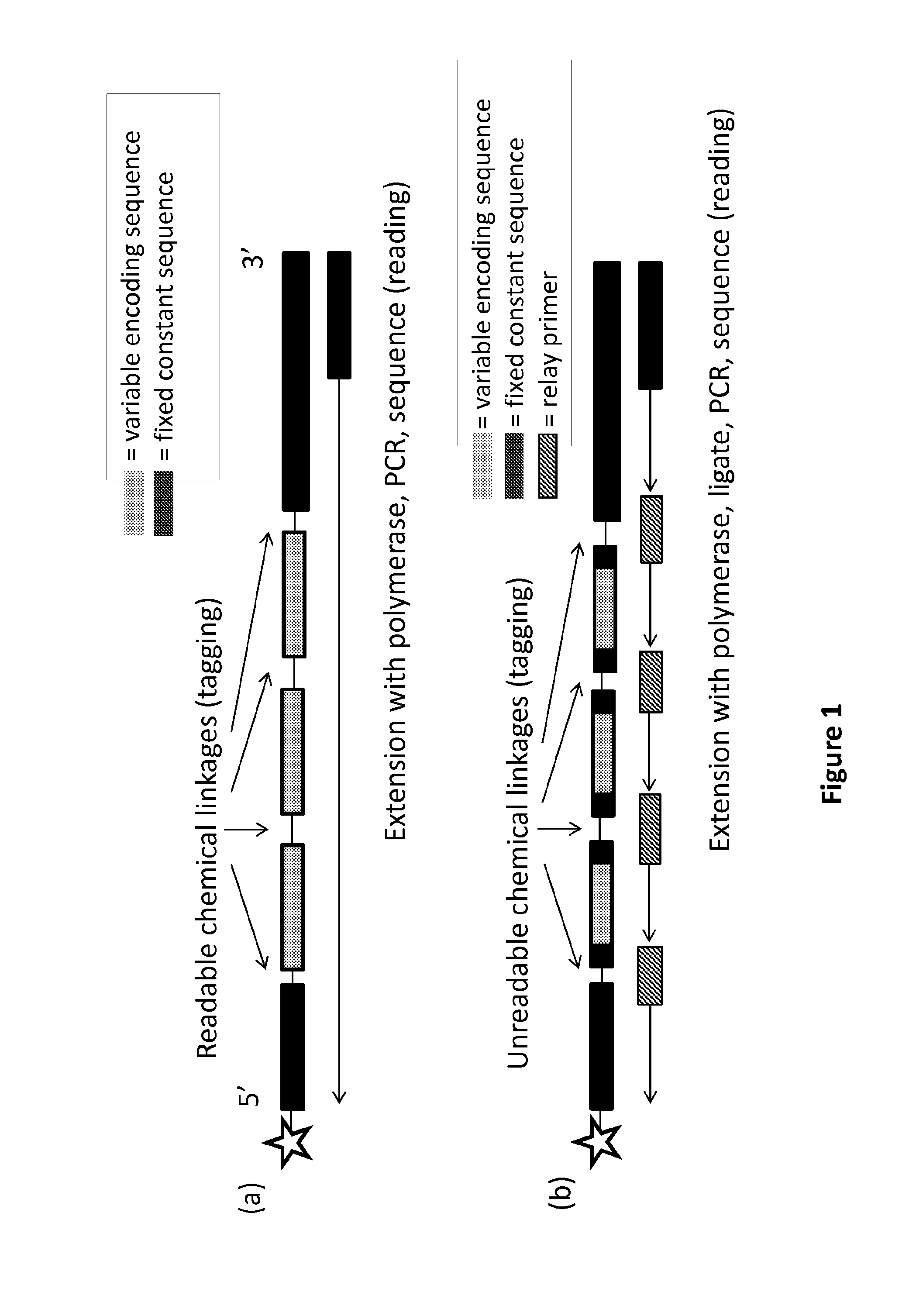 Dna-encoded libraries having encoding oligonucleotide linkages not readable by polymerases