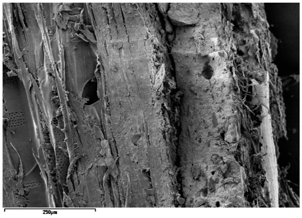 Environment-friendly high-performance geopolymer-based adhesive laminated wood and preparation method thereof