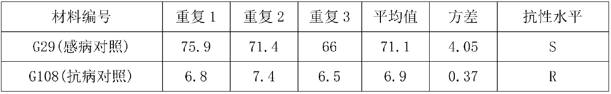 Pepper cucumber mosaic virus seedling disease phase inoculation method and application thereof