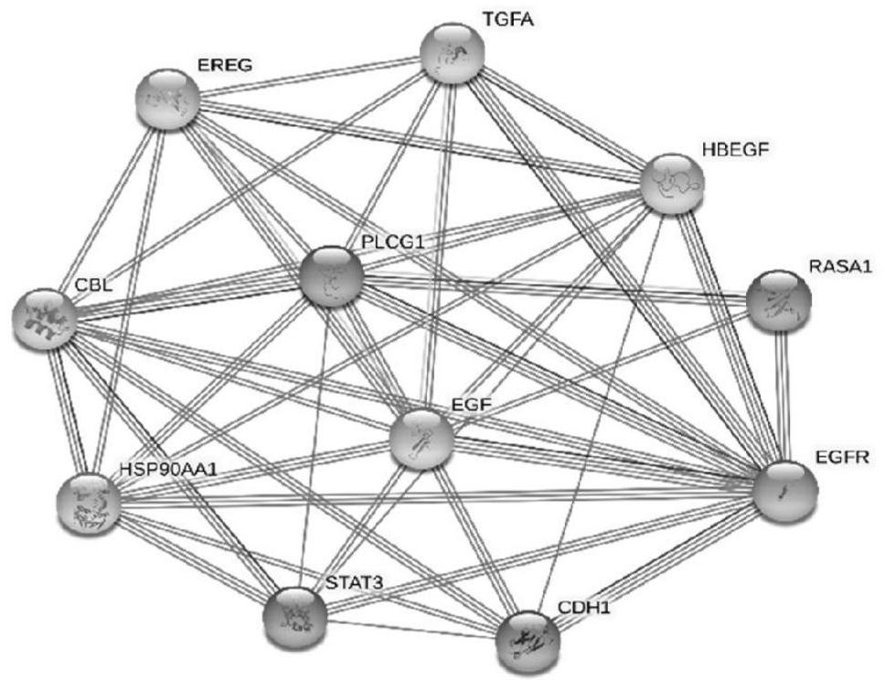 Biomarker group for predicting lung cancer