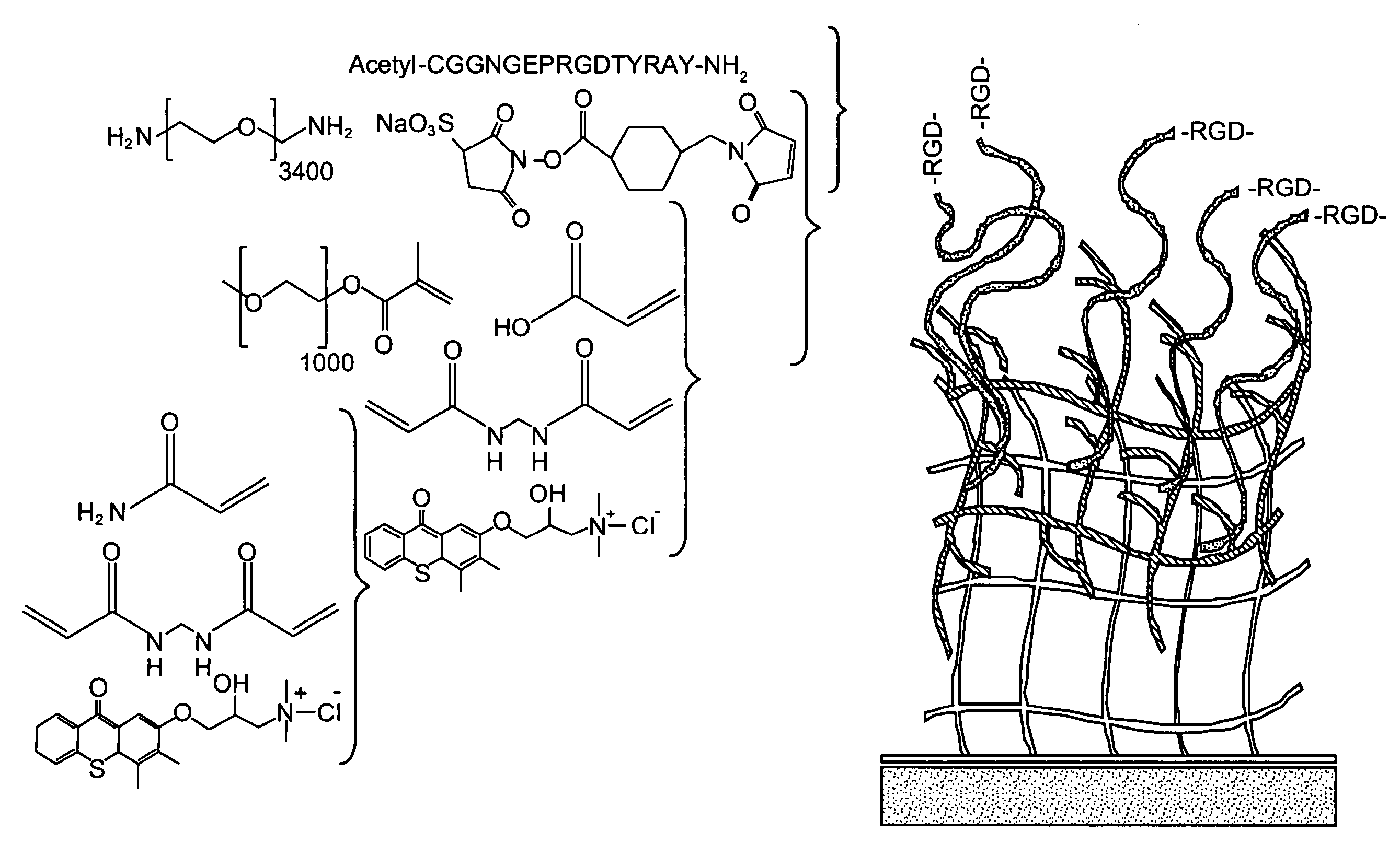 Synthetic Cell Platforms and Methods of Use Thereof