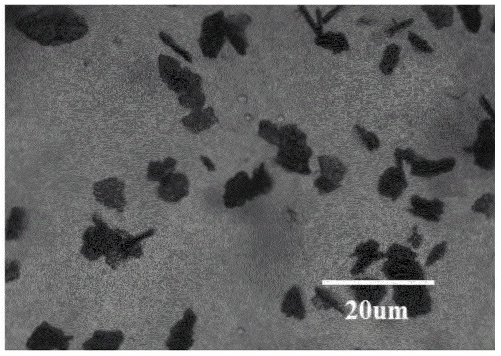 Preparation method of fat gel capable of loading carotene