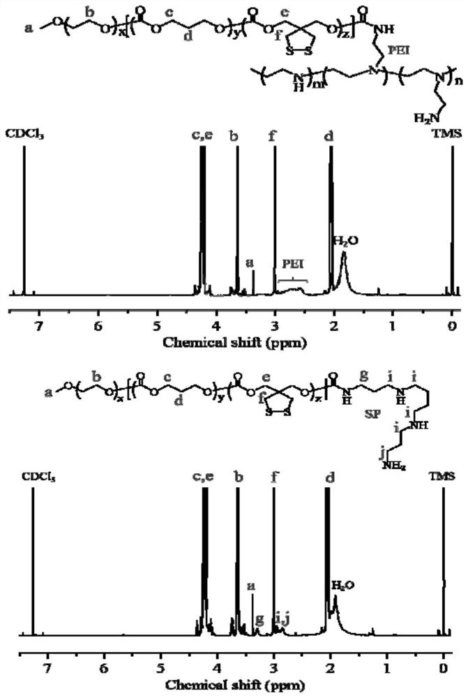 Polymer vesicle nano STING agonist as well as preparation method and application thereof