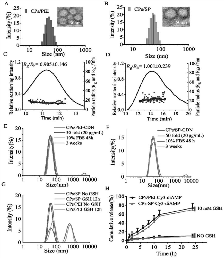 Polymer vesicle nano STING agonist as well as preparation method and application thereof