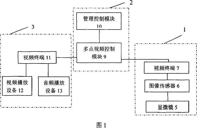 System for remotely identifying biological sample