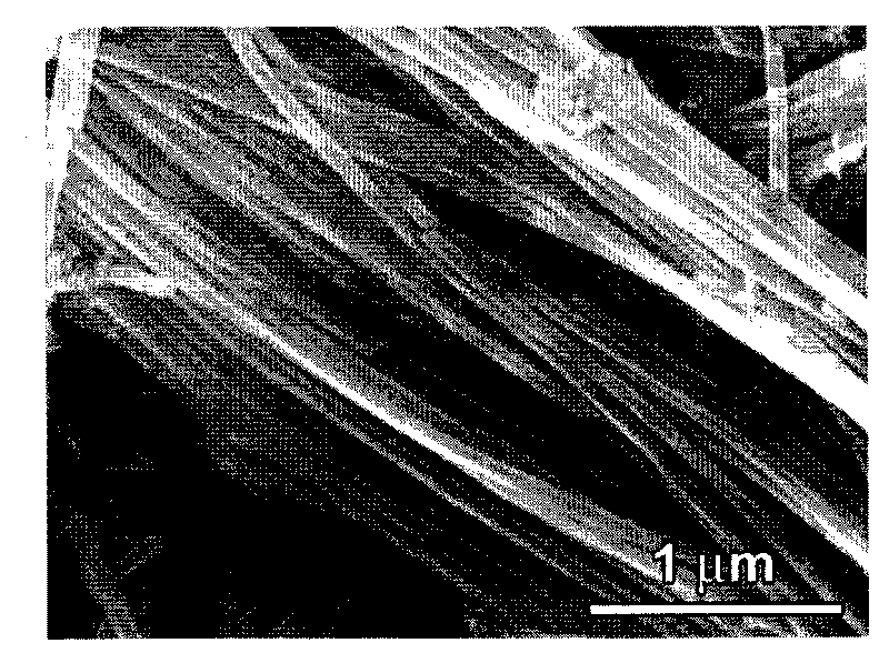 Method for selectively filling ferric oxide particles in hollow cavity of carbon nanotube