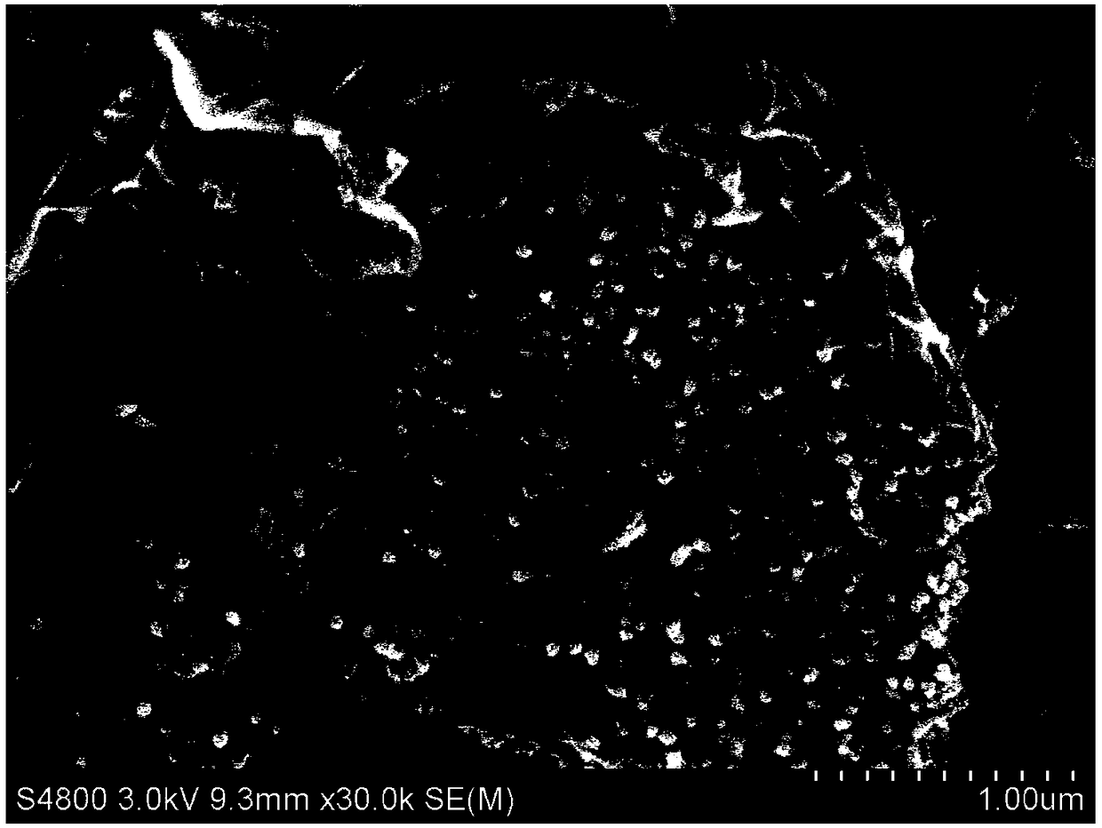 Preparation method of PEDOT@beta-FeOOH/rGO array type lithium ion battery negative electrode material