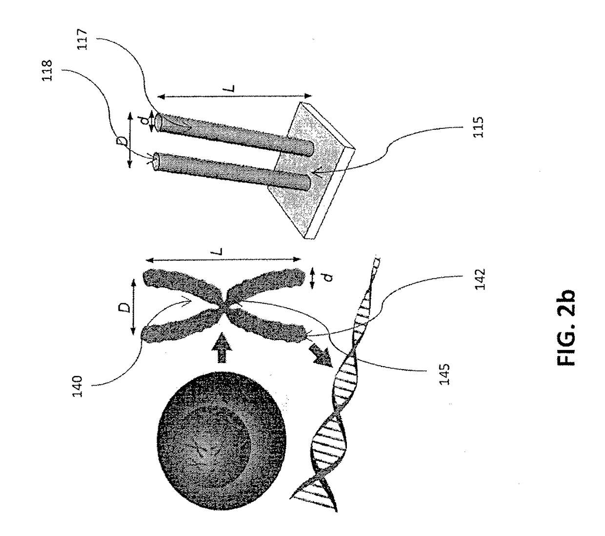 Apparatus and methods for measuring delivered ionizing radiation