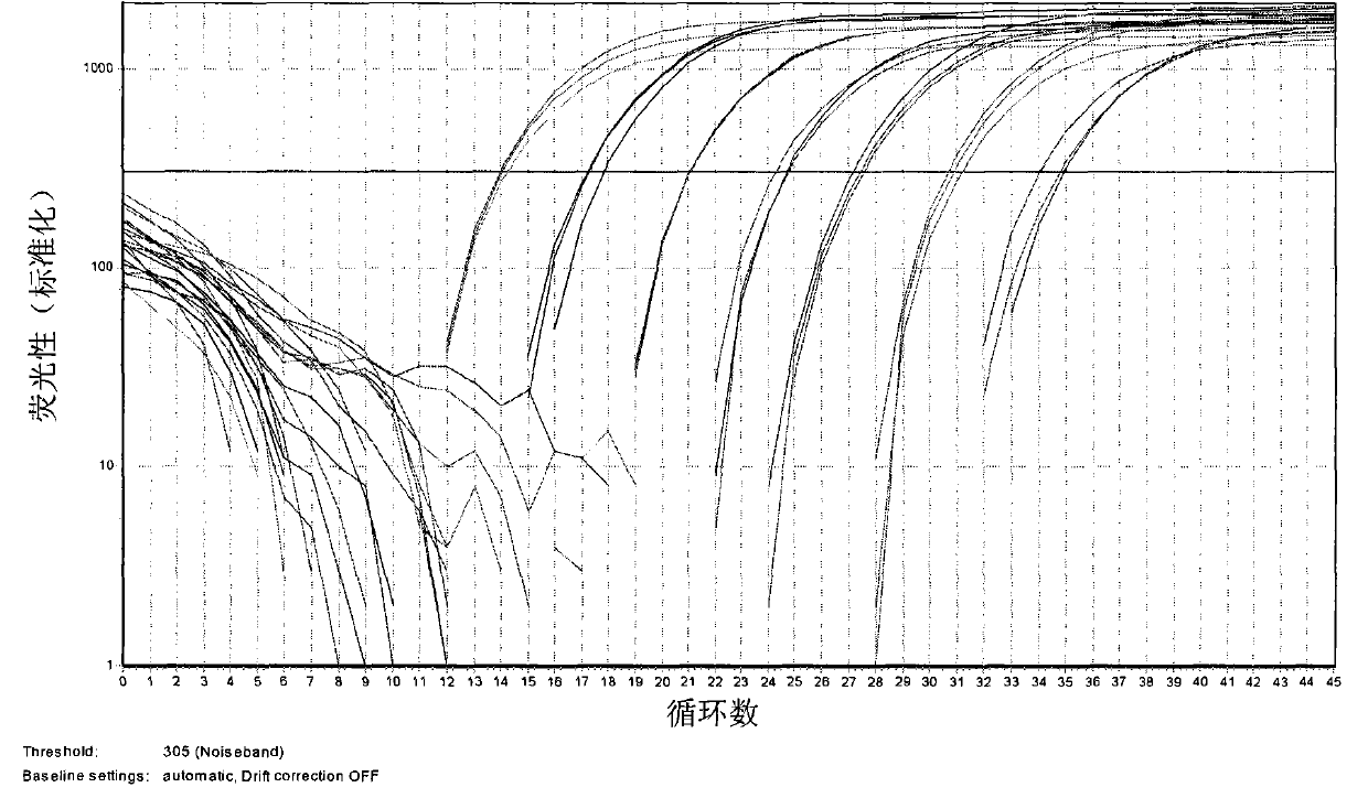 Kit and method for identifying and detecting Cordyceps sinensis