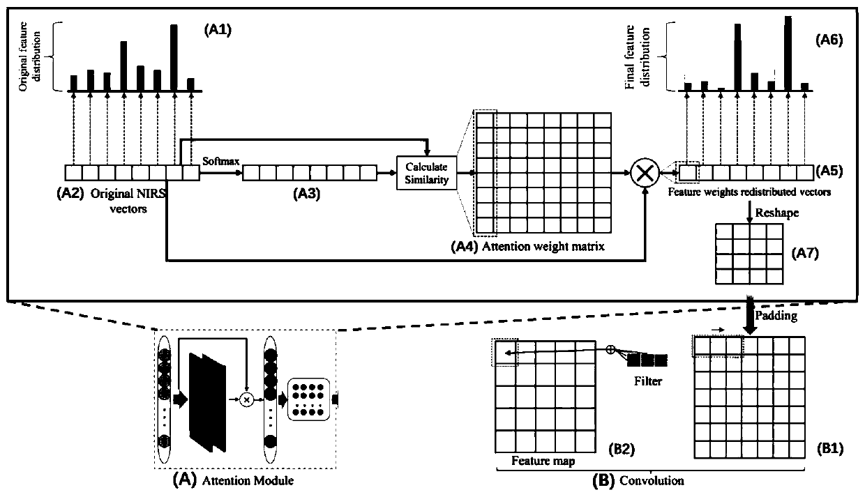 Near-infrared spectral analysis method for medical fungi