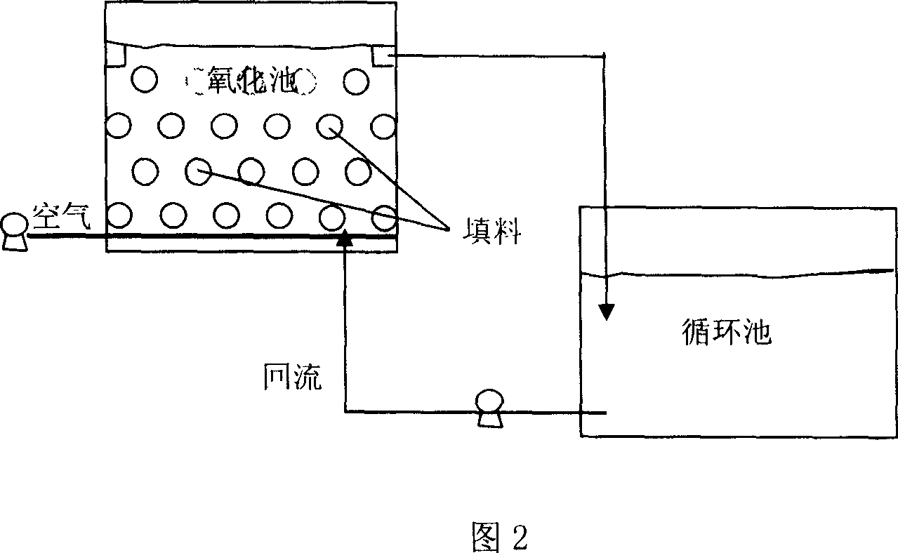 Film coating method of filling material in biological contact oxidation pond