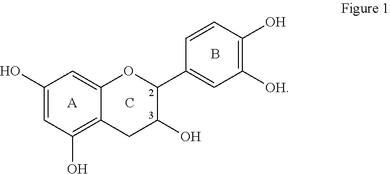 Method and Composition for Preparing a Therapeutic Natural Tea Remedy for Helping the Human Body Combat the Effects of Various Medical Ailments