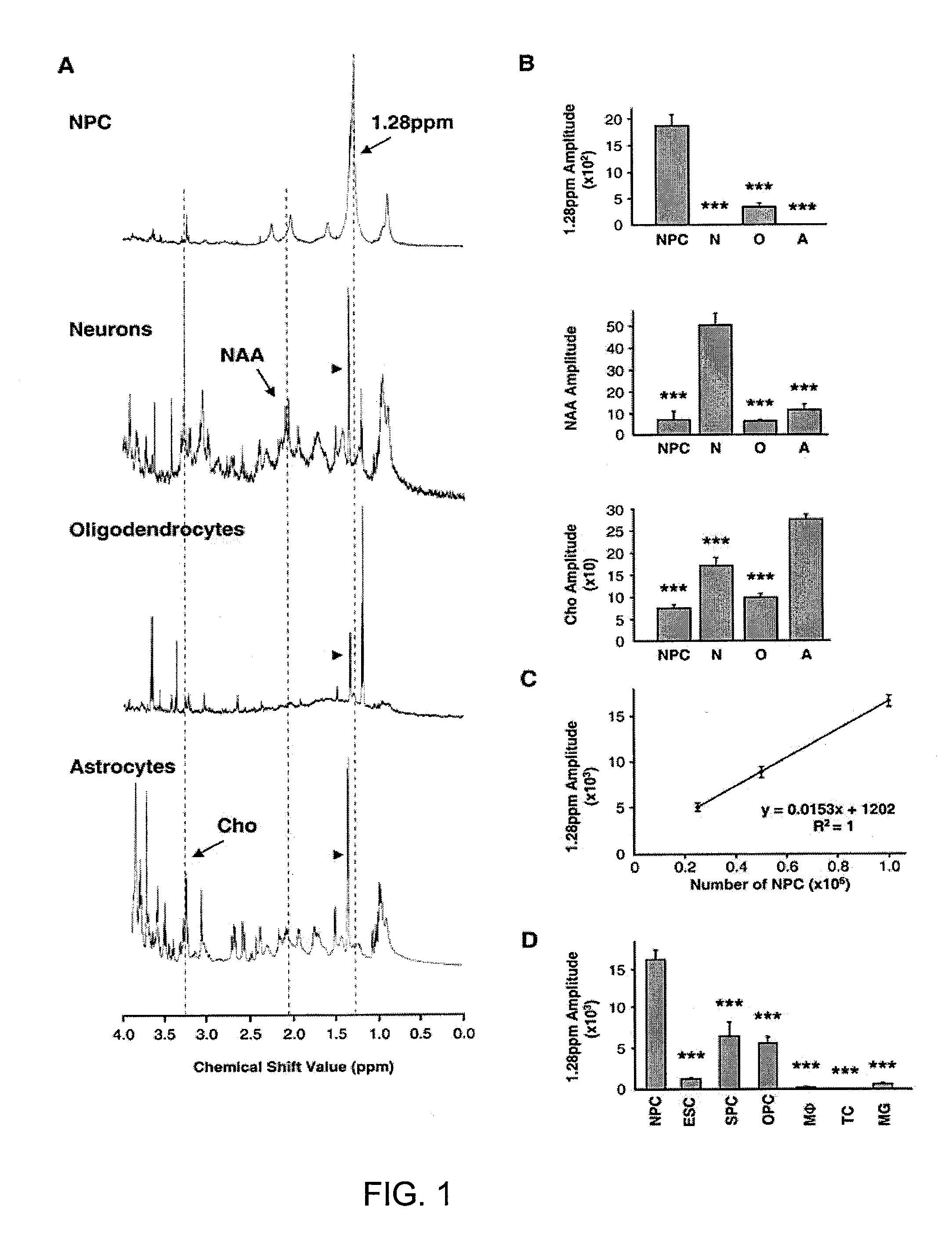 Spectral biomarker and algorithm for the identification and detection of neural stem and progenitor cells and their use in studying mammalian brains