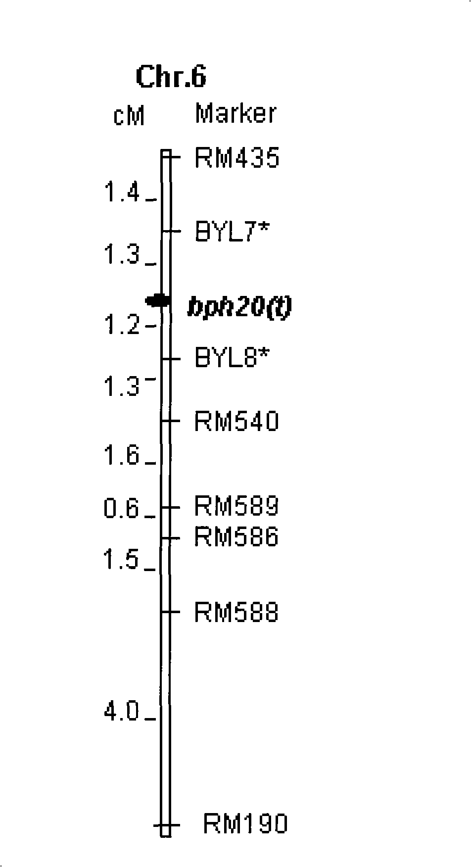 Anti-nilaparvata lugens major gene, numerator mark method and uses thereof