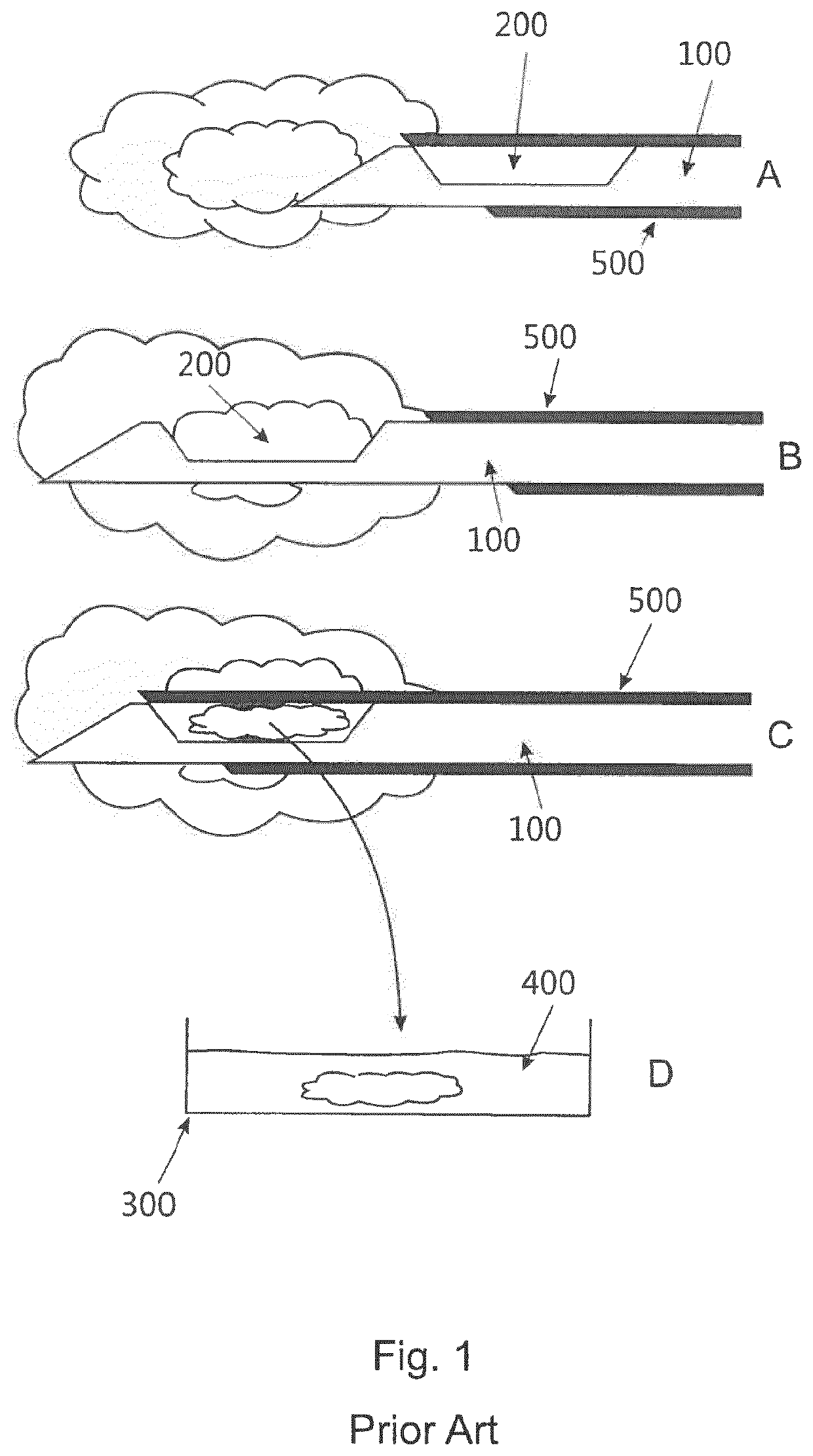 Device for staining 3D biopsy tissue