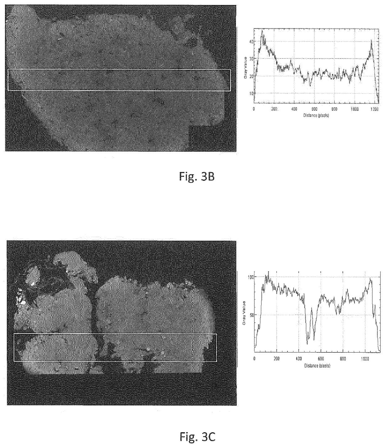 Device for staining 3D biopsy tissue