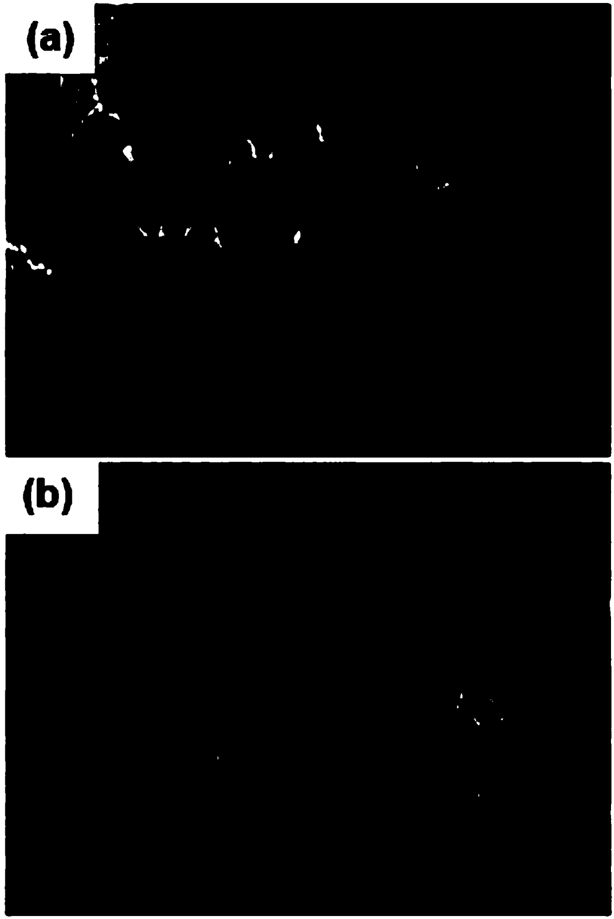 Negative electrode of lithium battery for inhibiting growth of lithium dendrites with ZIF-8 porous carbon material