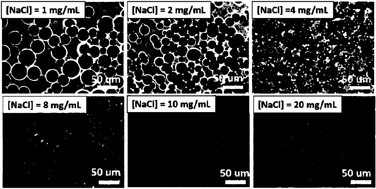 Preparation method and application of polymer hollow microcapsule