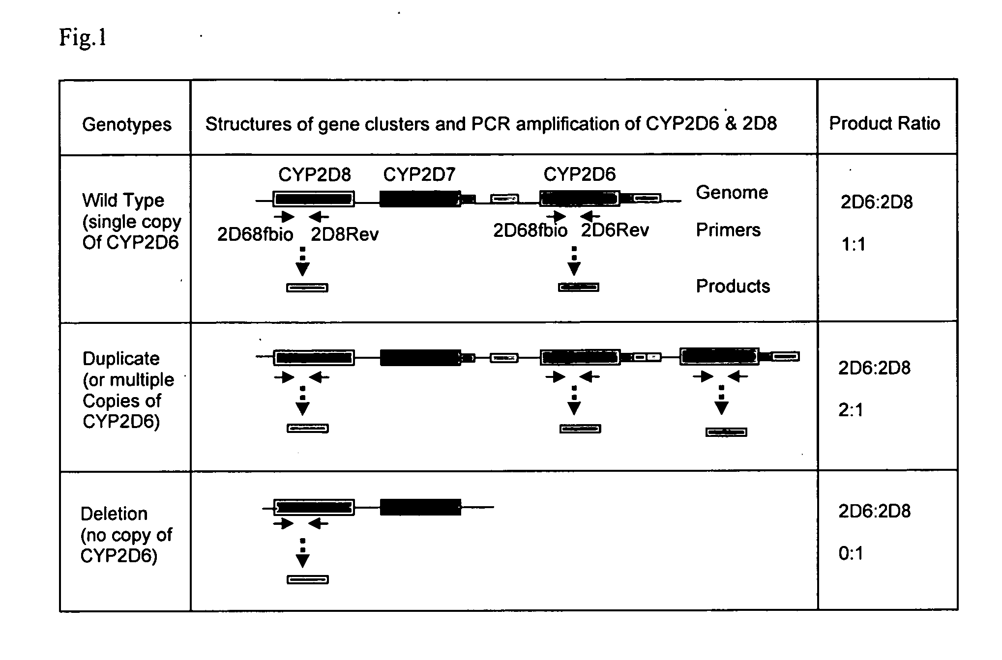 Method for detecting large mutations and duplications using control amplification comparisons to paralogous genes