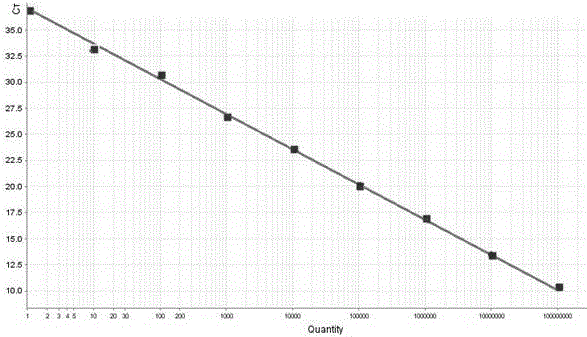 A real-time fluorescent quantitative PCR detection kit for aphthous ulcer virus