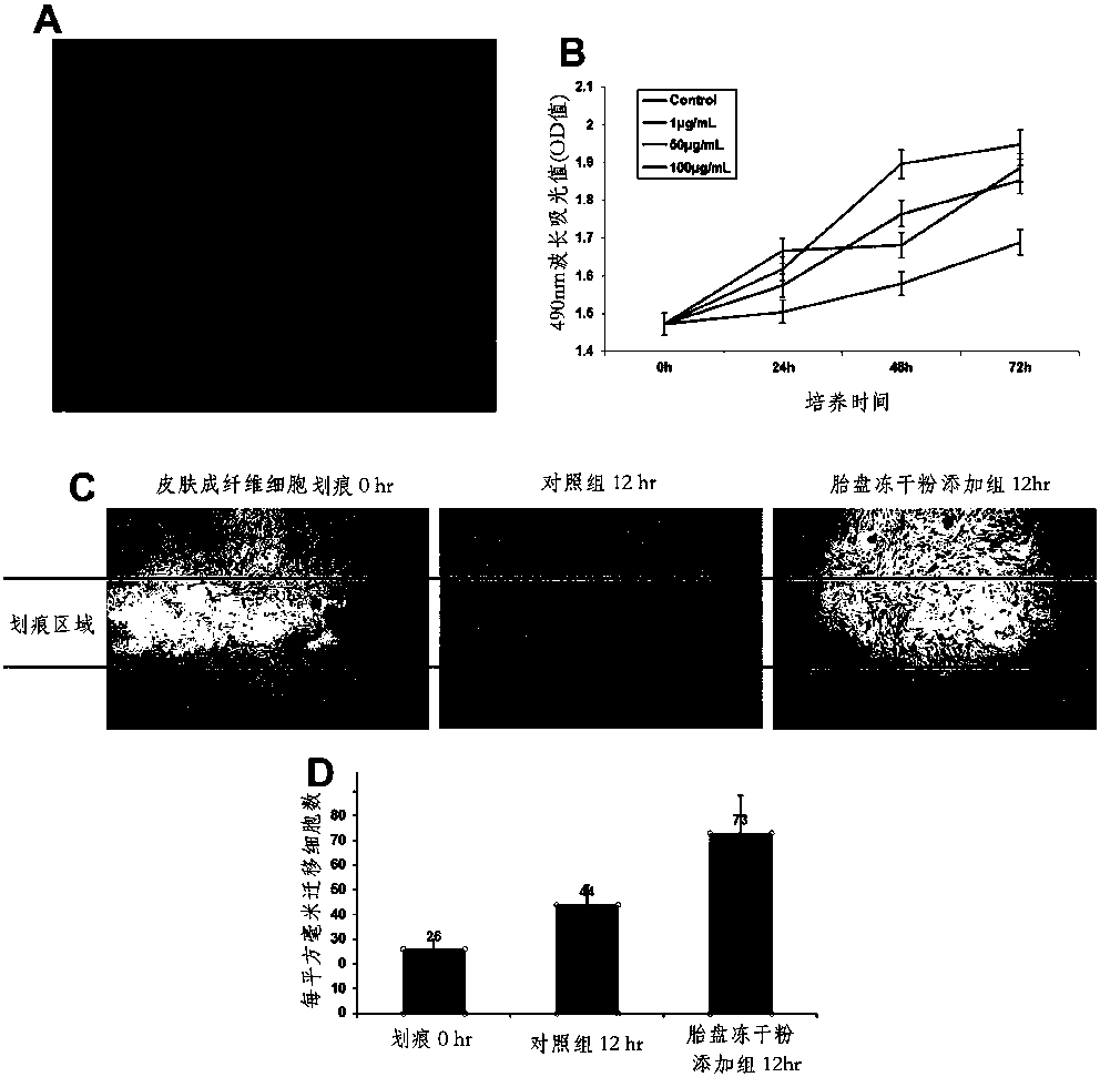 A method for preparing freeze-dried active placenta powder by water-soluble enzymatic hydrolysis