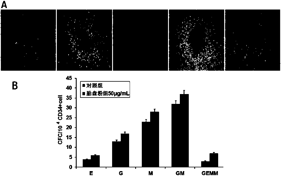 A method for preparing freeze-dried active placenta powder by water-soluble enzymatic hydrolysis