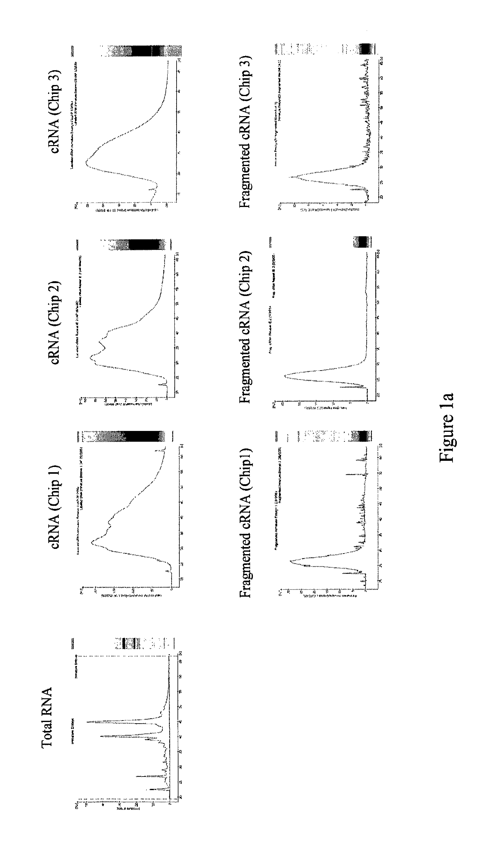 Plant promoter operable in basal endosperm transfer layer of endosperm and uses thereof