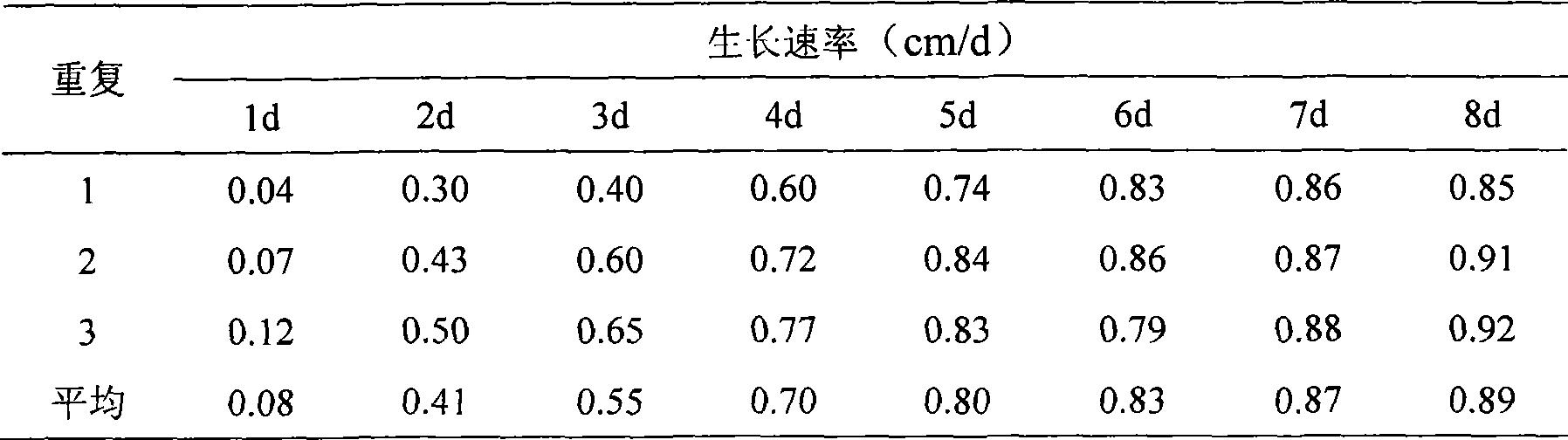 Verticillium lecanii for preventing and controlling fly type pests and use thereof