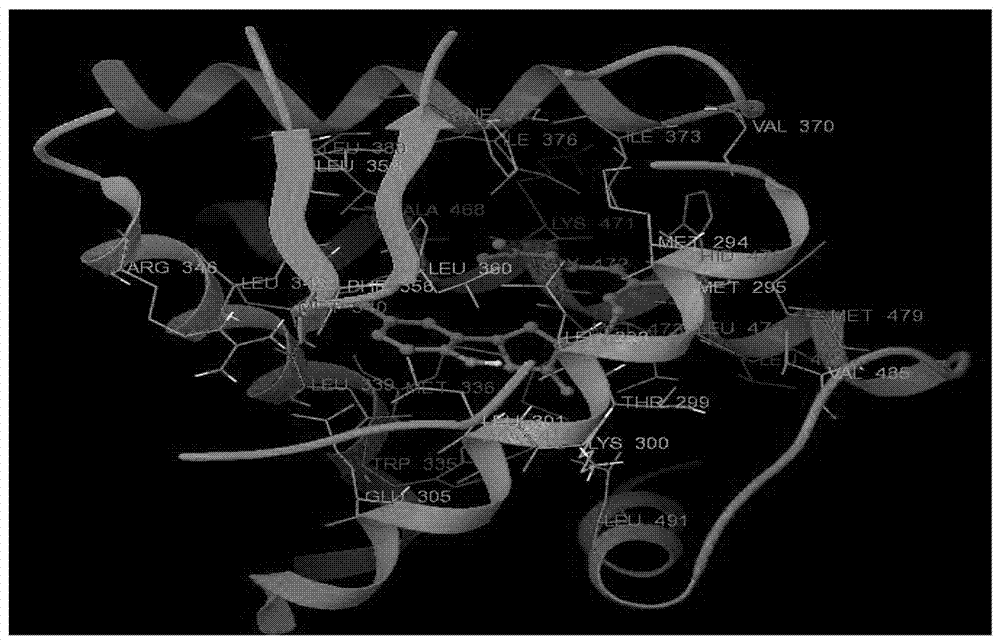 Ganoderma lucidum component GL-1 and application thereof to aspect of estrogen replacement