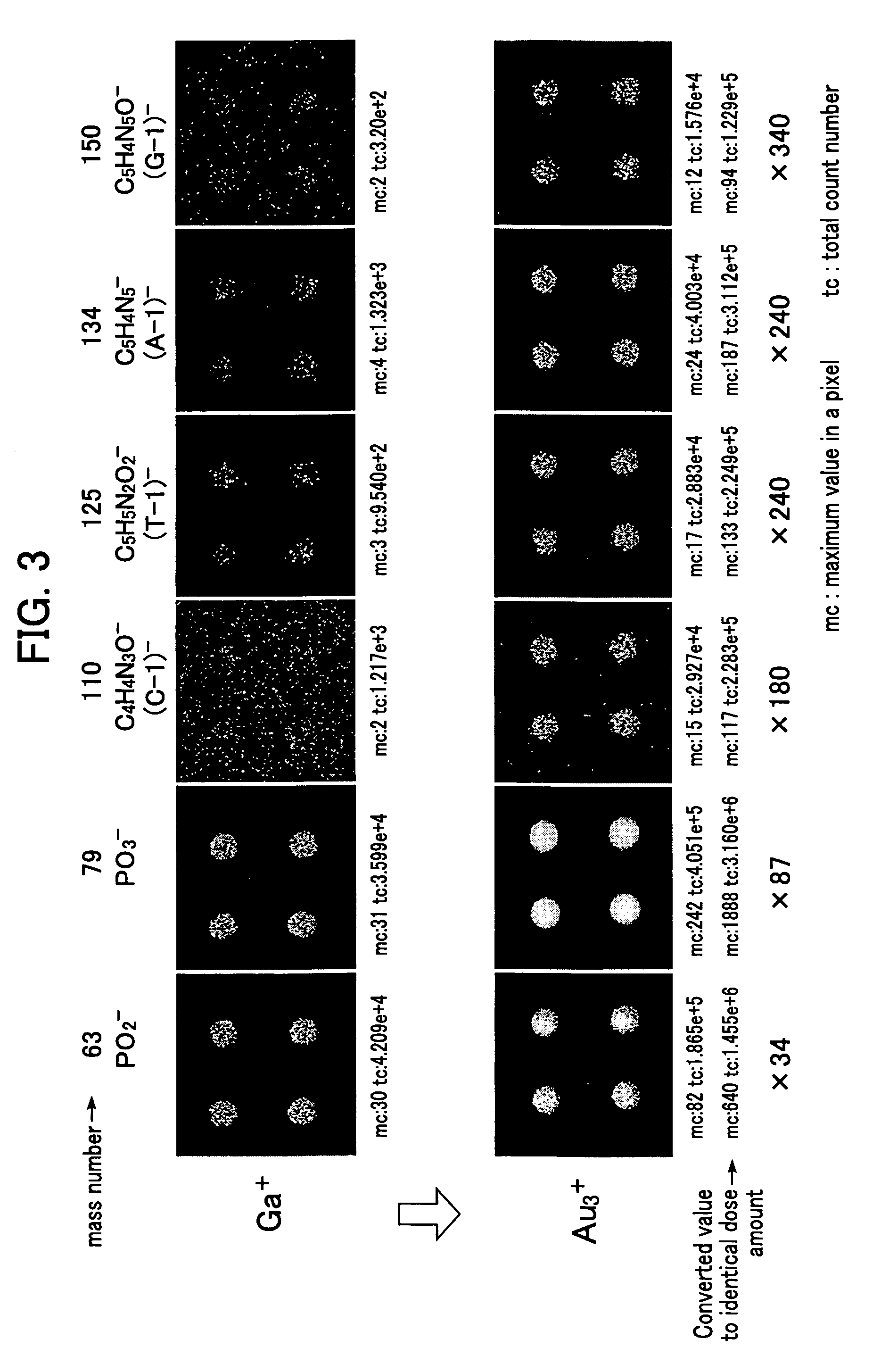 Method for acquiring information of a biochip using time of flight secondary ion mass spectrometry and an apparatus for acquiring information for the application thereof