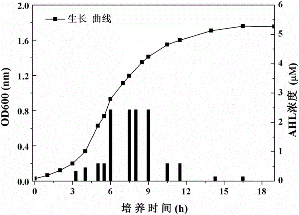 Method for measuring content of total acyl homoserine lactone (AHL)