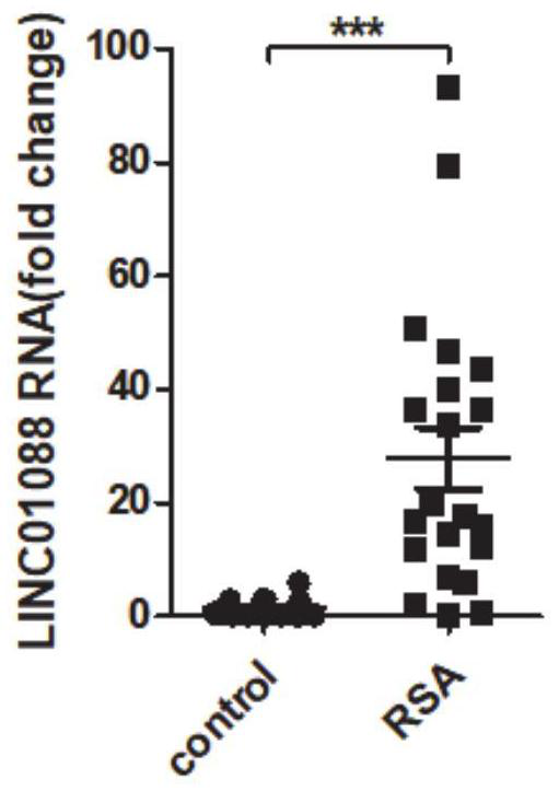 Application of lncRNA in diagnosis and treatment of recurrent spontaneous abortion