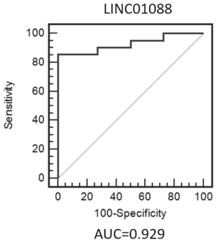 Application of lncRNA in diagnosis and treatment of recurrent spontaneous abortion