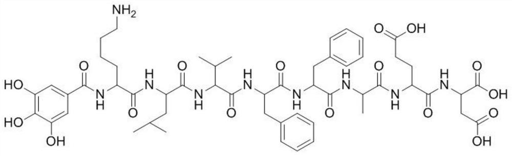 Phenolic acid polypeptide conjugate as well as preparation method and application thereof