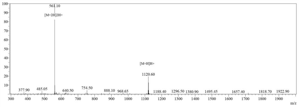 Phenolic acid polypeptide conjugate as well as preparation method and application thereof