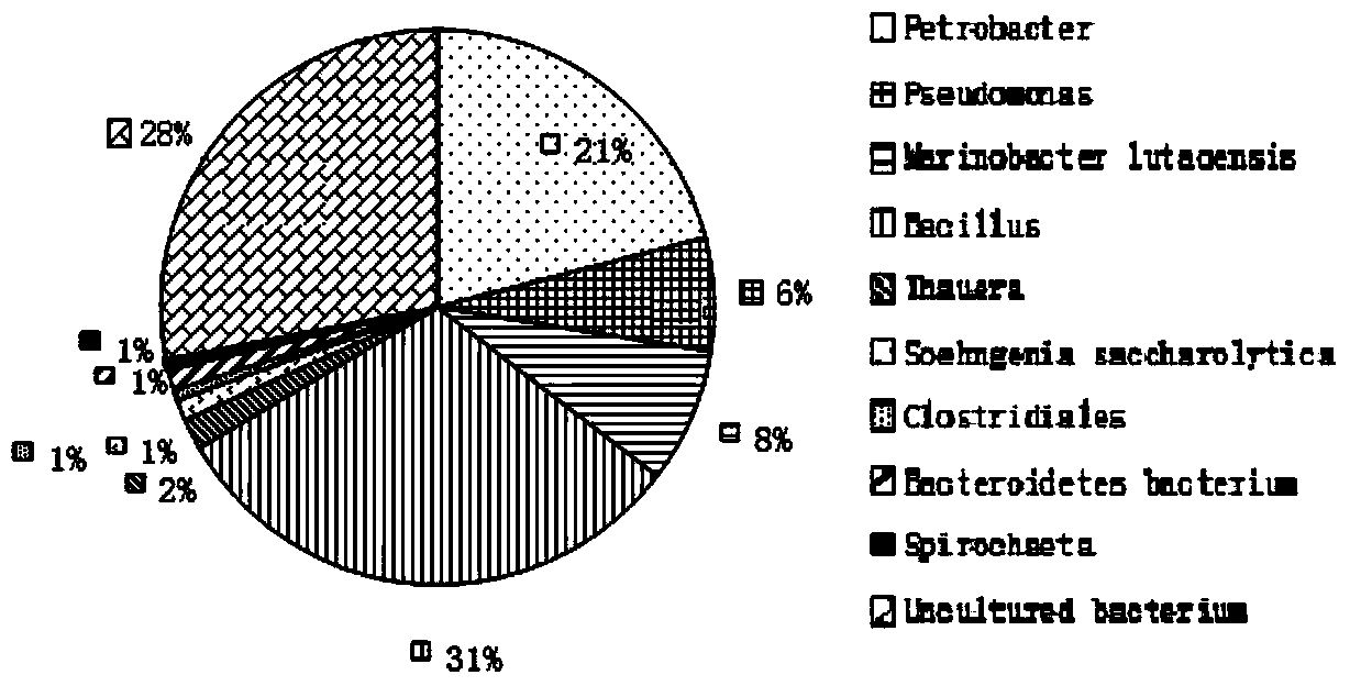 Method for activating oil reservoir indigenous microorganisms to produce object surface active agents