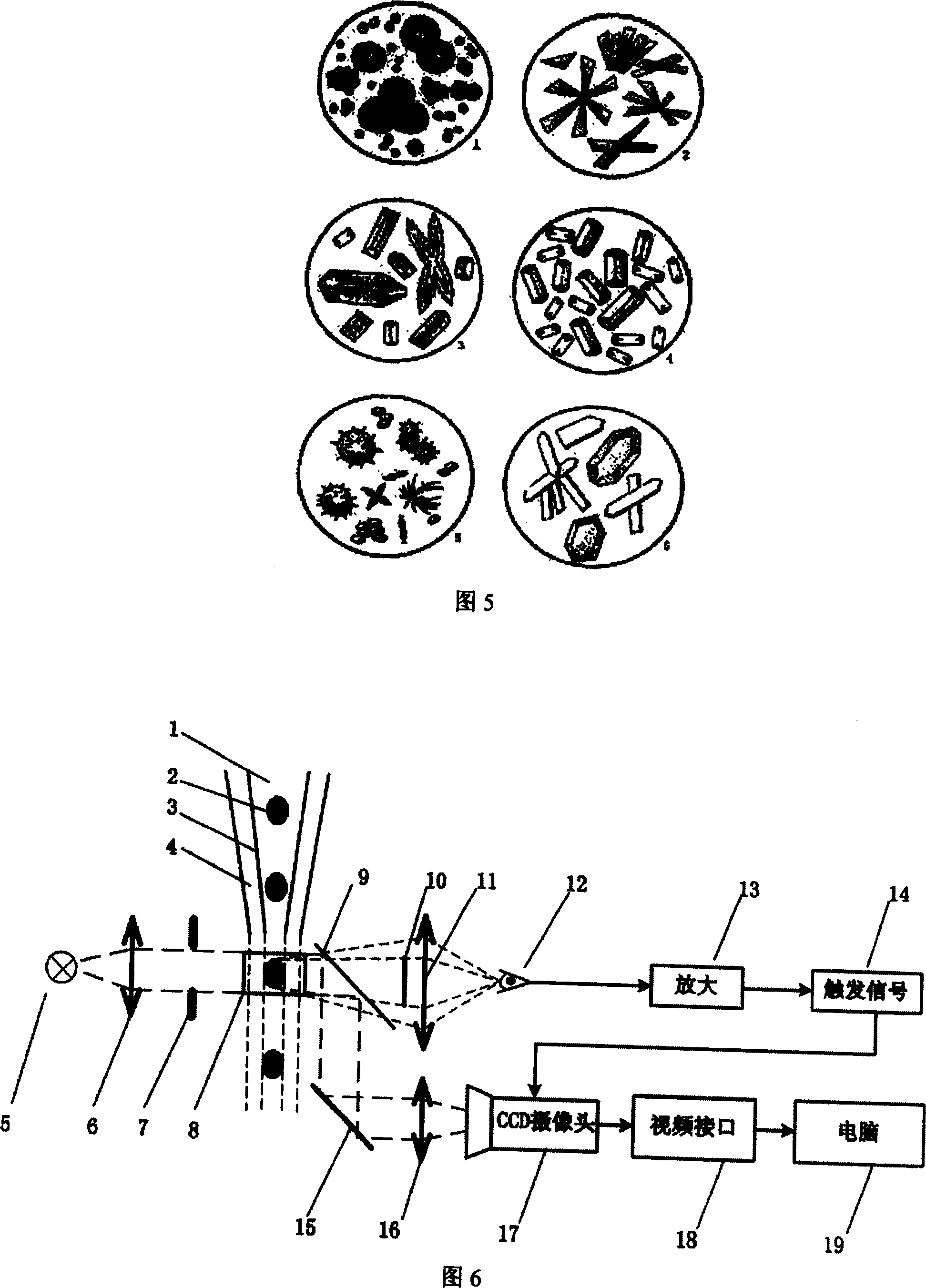 Flow-type imaging particle measurer and its measuring method