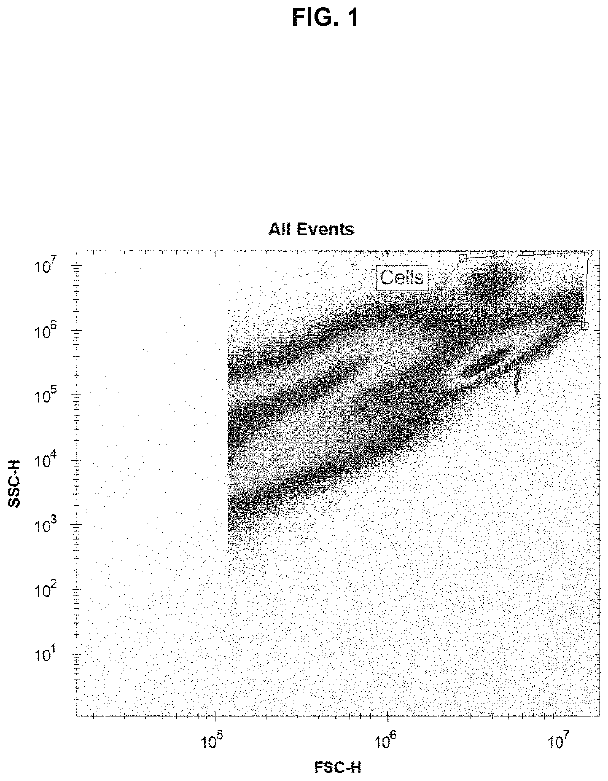 High-efficiency transfection of biological cells using sonoporation