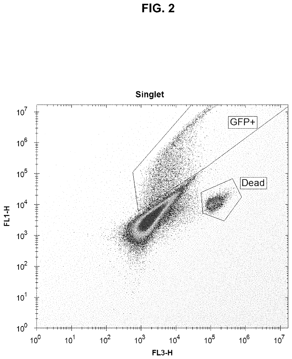 High-efficiency transfection of biological cells using sonoporation