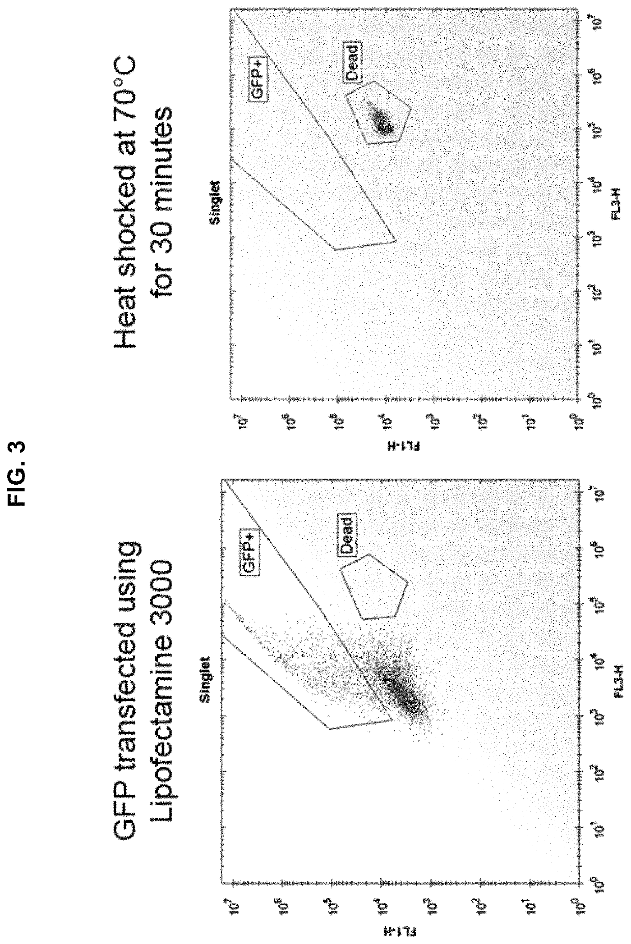 High-efficiency transfection of biological cells using sonoporation