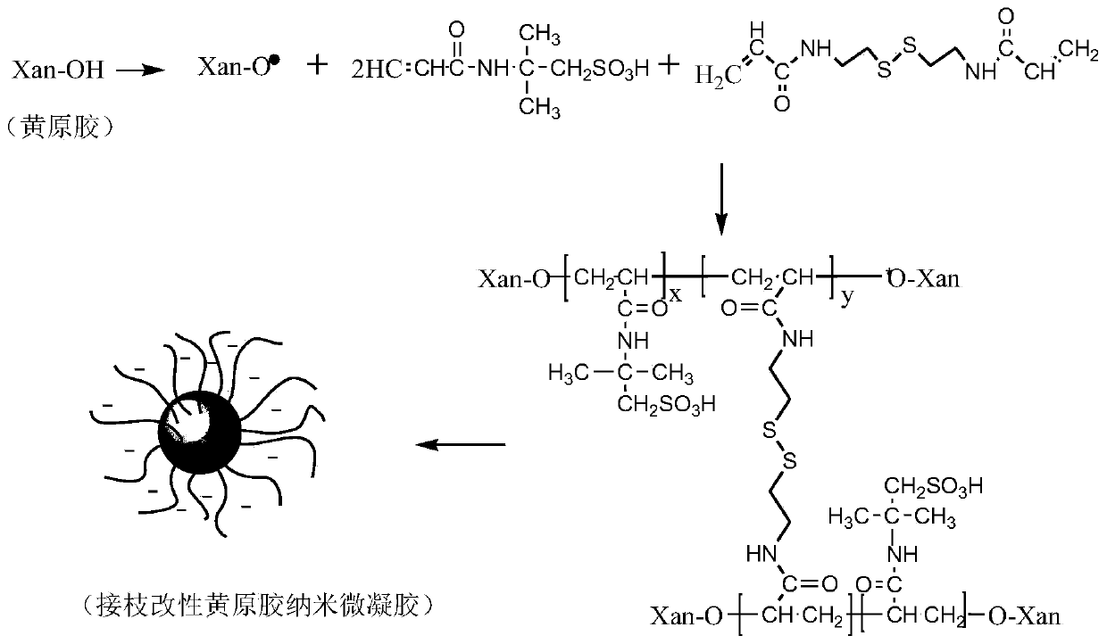 A kind of preparation method of graft modified xanthan gum nano microgel