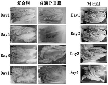 Anti-fog SPEEK/PE controlled atmosphere composite film with high separation performance, and preparation method and applications thereof