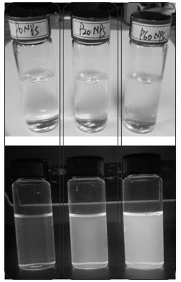 Method for preparing PPEs high-fluorescence nanoparticles