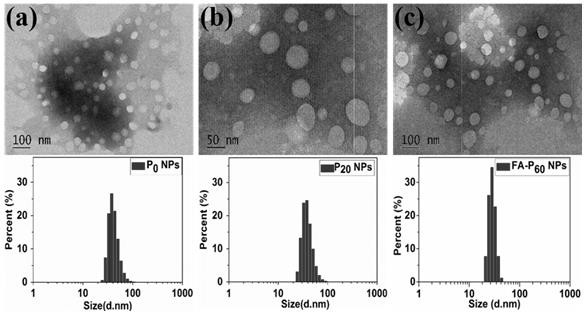 Method for preparing PPEs high-fluorescence nanoparticles