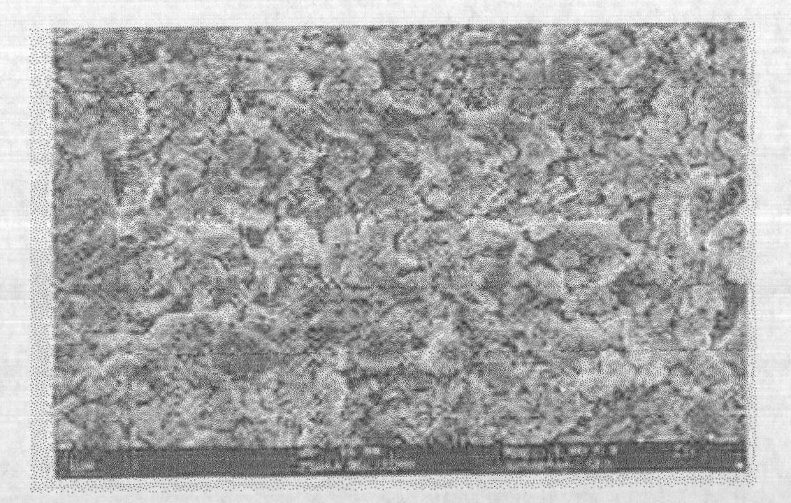 Scaly zinc-based inorganic zinc silicate heavy anti-corrosion coating and preparation method thereof