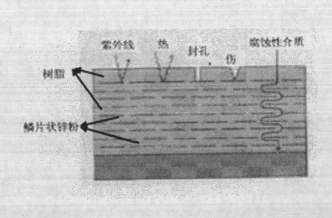 Scaly zinc-based inorganic zinc silicate heavy anti-corrosion coating and preparation method thereof