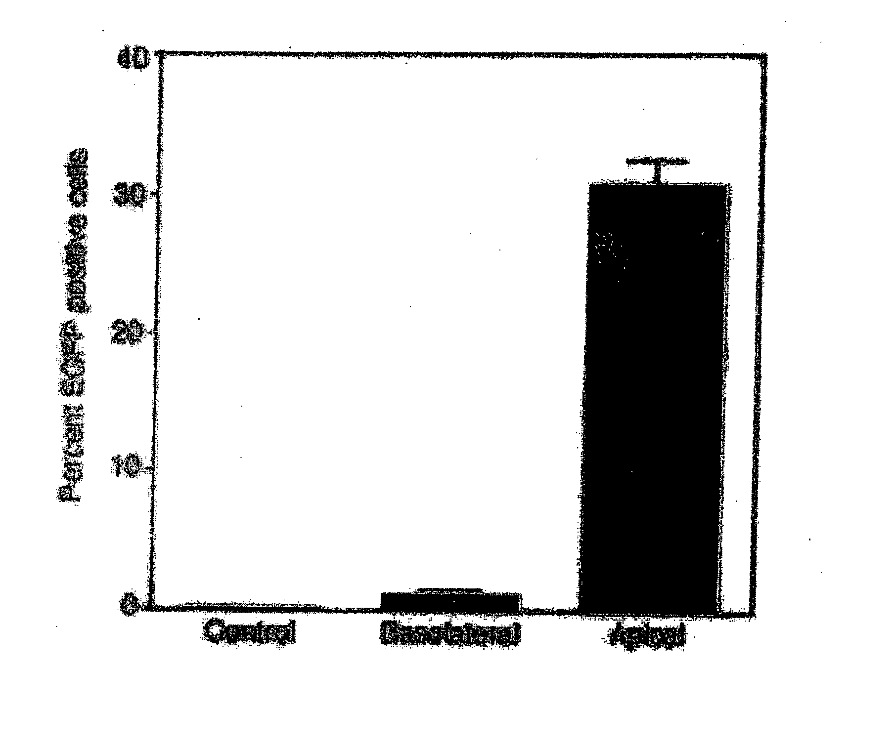 Lentivirus vectors for gene transfer to alveolar epithelial cells