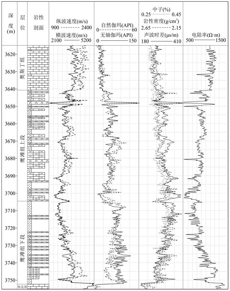 Shale oil-gas economical and effective layer section evaluation method