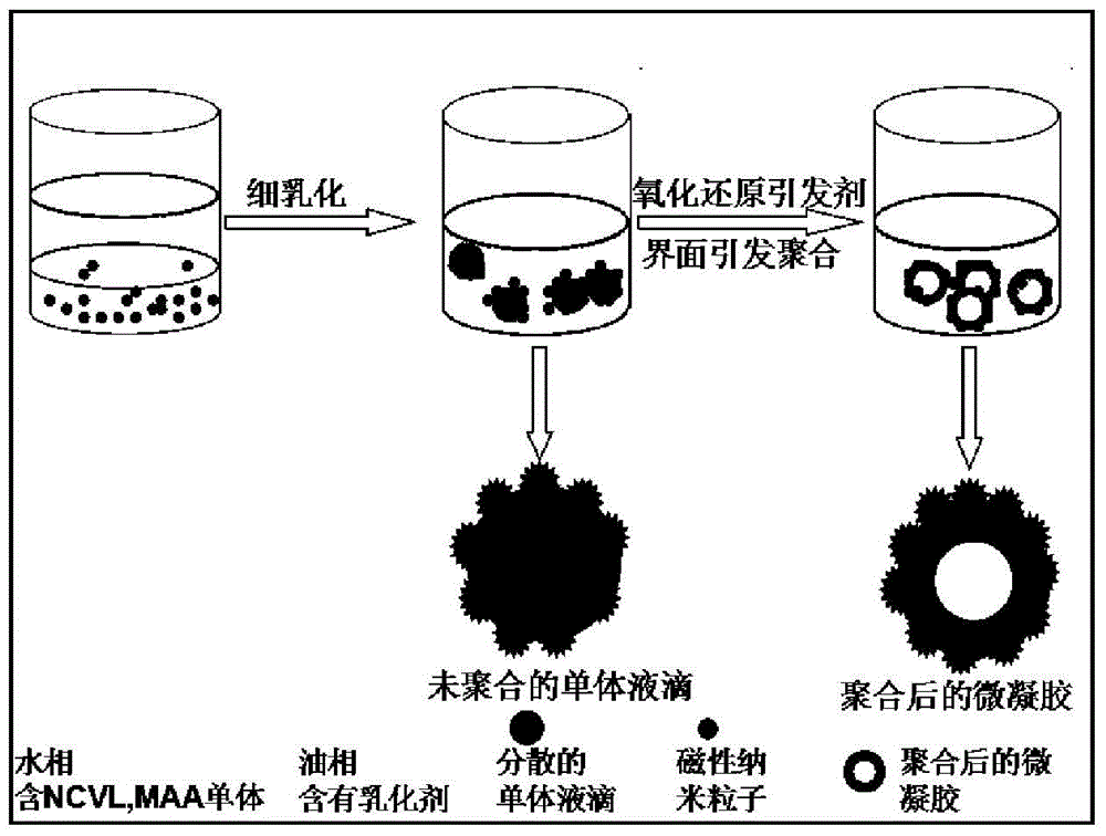 Preparation method of a multi-responsive polymer hollow microgel