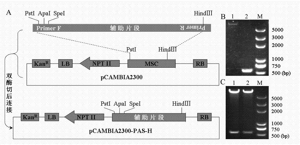 Method for remaking multiple cloning sites of known vector